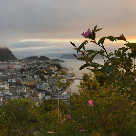 City View Studio Apartment Ålesund Exterior foto